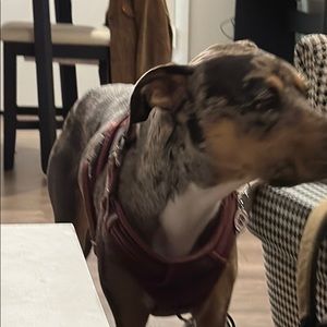 Meet your Posher, Nathan